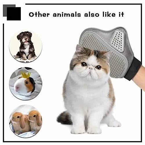 Stainless Steel Pet Grooming Glove – Gentle Deshedding Brush for Cats & Dogs