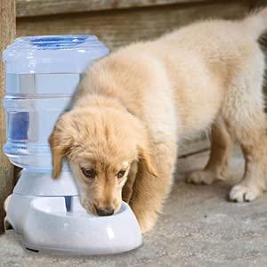 🐾 Automatic Pet Water Dispenser – Gravity-Fed, Easy-to-Clean & Power-Free Hydration System